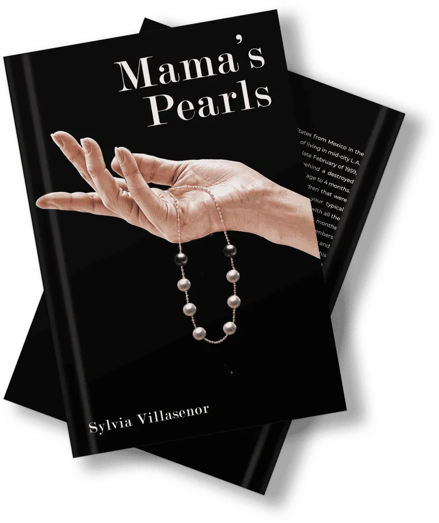 Sylvia Villasenor Book